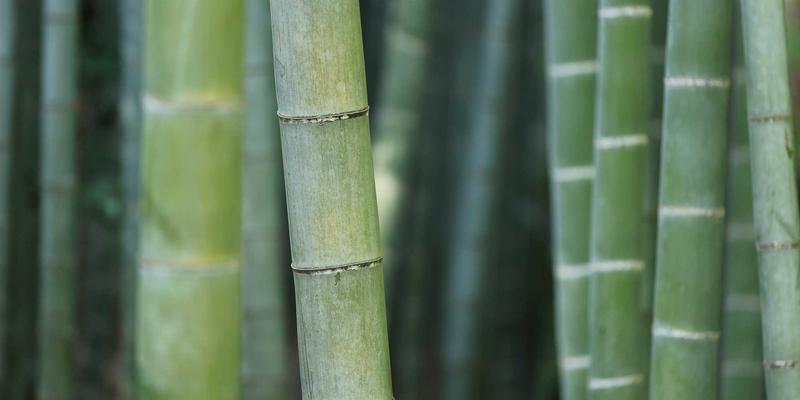 酒店员工制服定制采购指南：从面料功能性到品牌形象统一的设计考量