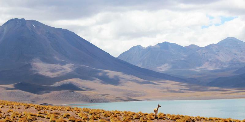 酒店宴会厅设备全攻略：从桌椅租赁到选购的成本效益深度解析