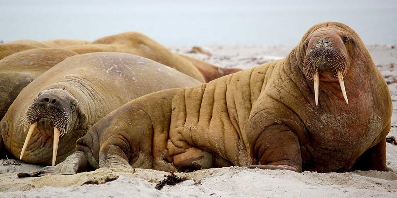 酒店用品70：从设备到布草，打造卓越宾客体验的核心要素