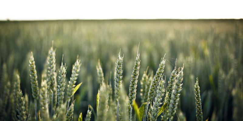 酒店用品74：从布草品质到智能设备，打造卓越宾客体验的核心要素