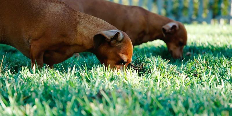 酒店用品采购全攻略：从家具选配到高效采购的三大关键