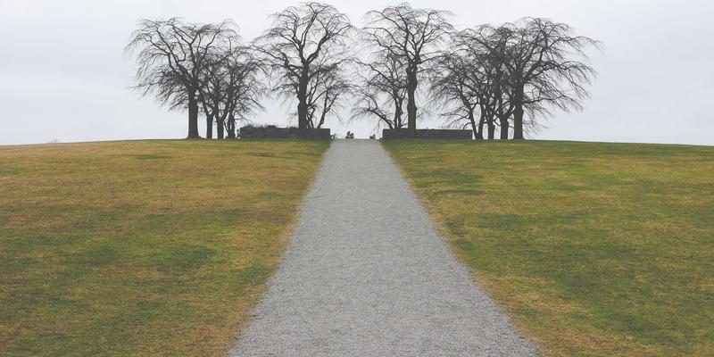 酒店用品采购全攻略：如何通过专业平台高效配置布草与家具