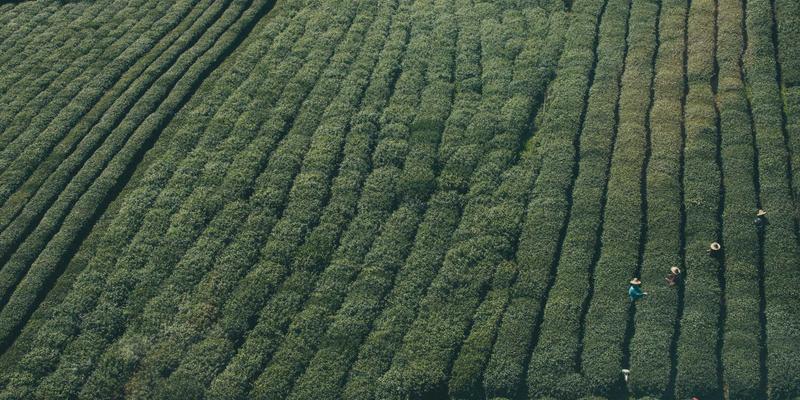 酒店用品采购全攻略：如何通过专业设备与展会实现降本增效