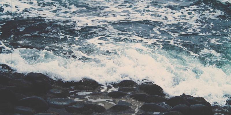 酒店设备展前瞻：客房用品采购新趋势——环保洗漱用品的可降解材料、大容量装与定制化包装策略