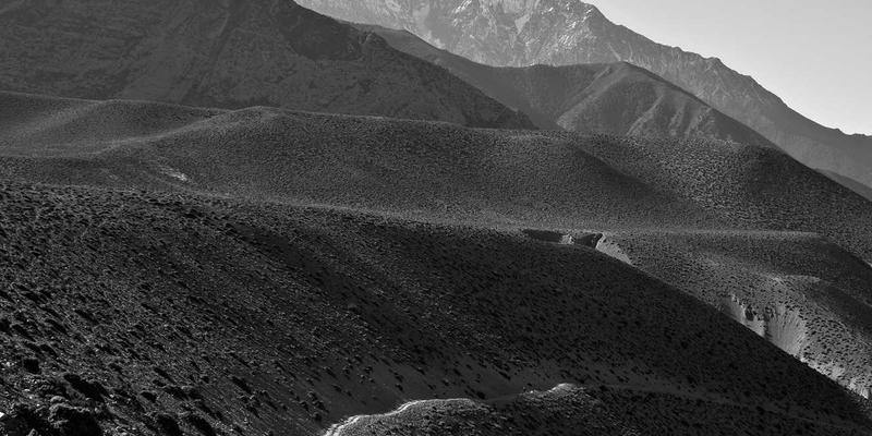 酒店设备展新风向：智能化迷你吧如何通过采购平台重塑客房营收