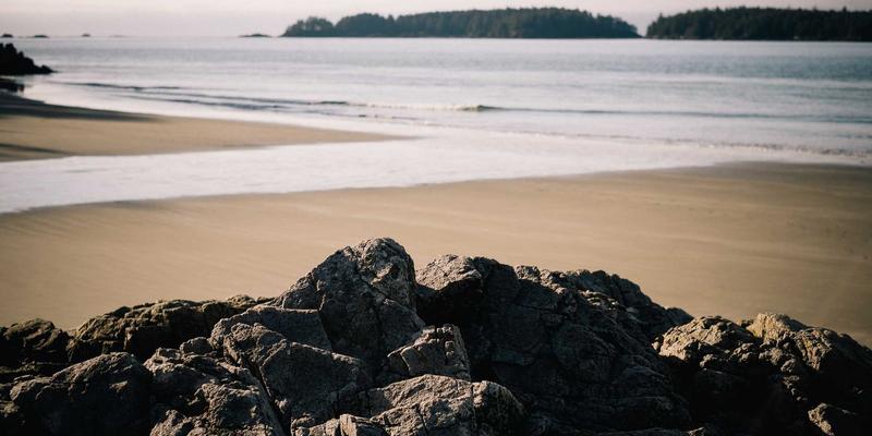 酒店采购新趋势：智能客房控制系统如何通过照明、温控、窗帘一体化，在提升宾客体验的同时实现卓越能效