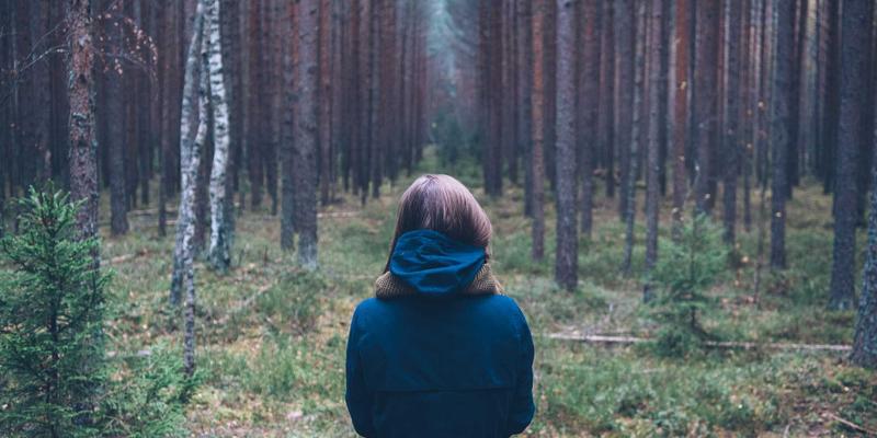 酒店香氛系统设计与应用：从客房用品到公共区域的嗅觉品牌塑造